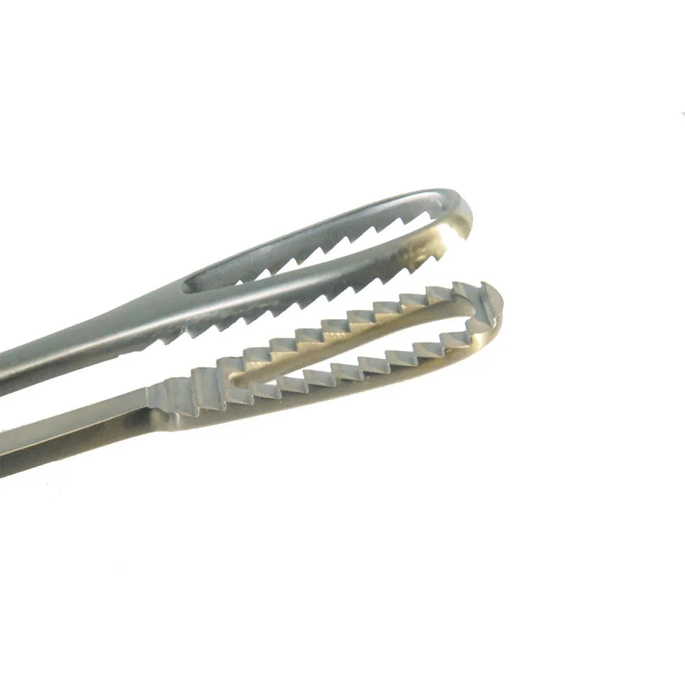 MedGyn Bierer Ovum Forceps