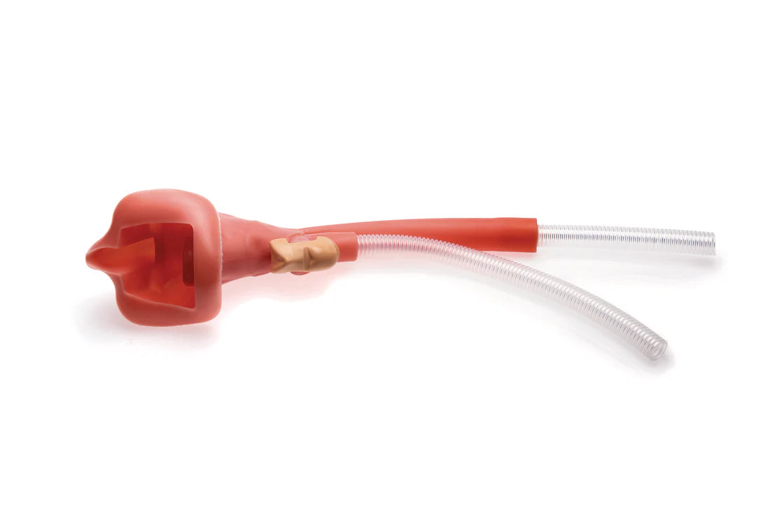 Laerdal-150-12150-Upper Airway Cpl. New Version RA Sim, 1/EA