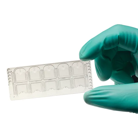 Marketlab-2055 Quick-Read Precision Cell Urinalysis Slide, 100/pk