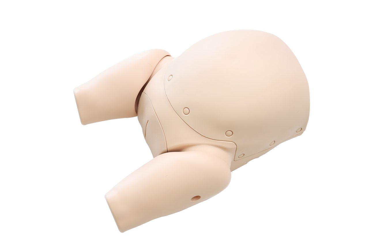 The Anatomy Lab-A-113028 Complete Childbirth Simulator, 1/ea