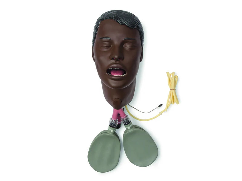 Laerdal-325-00850B-Head; Af-Vsim Trach-BRN – 1/EA