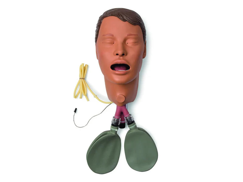 Laerdal-325-00850T-Head; Af-Spad Trach Female Hospital - TAN – 1/EA