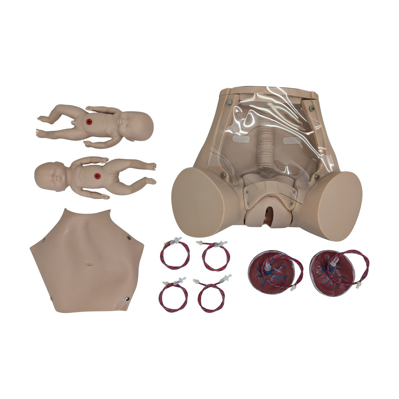 The Anatomy Lab-A-104410 Advanced Childbirth Simulator, 1/ea