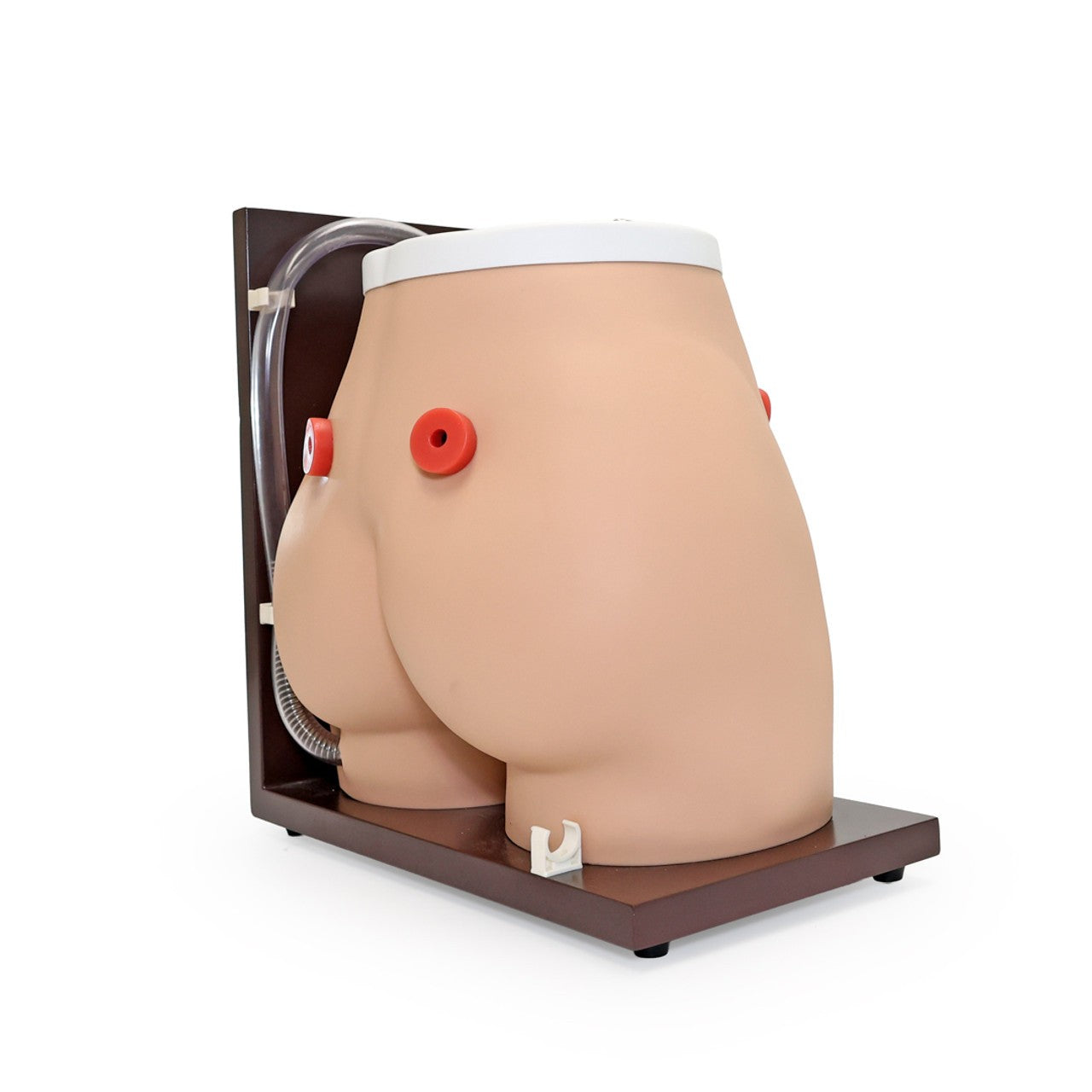 The Anatomy Lab-A-104465 Ostomy Care Simulator, 1/ea