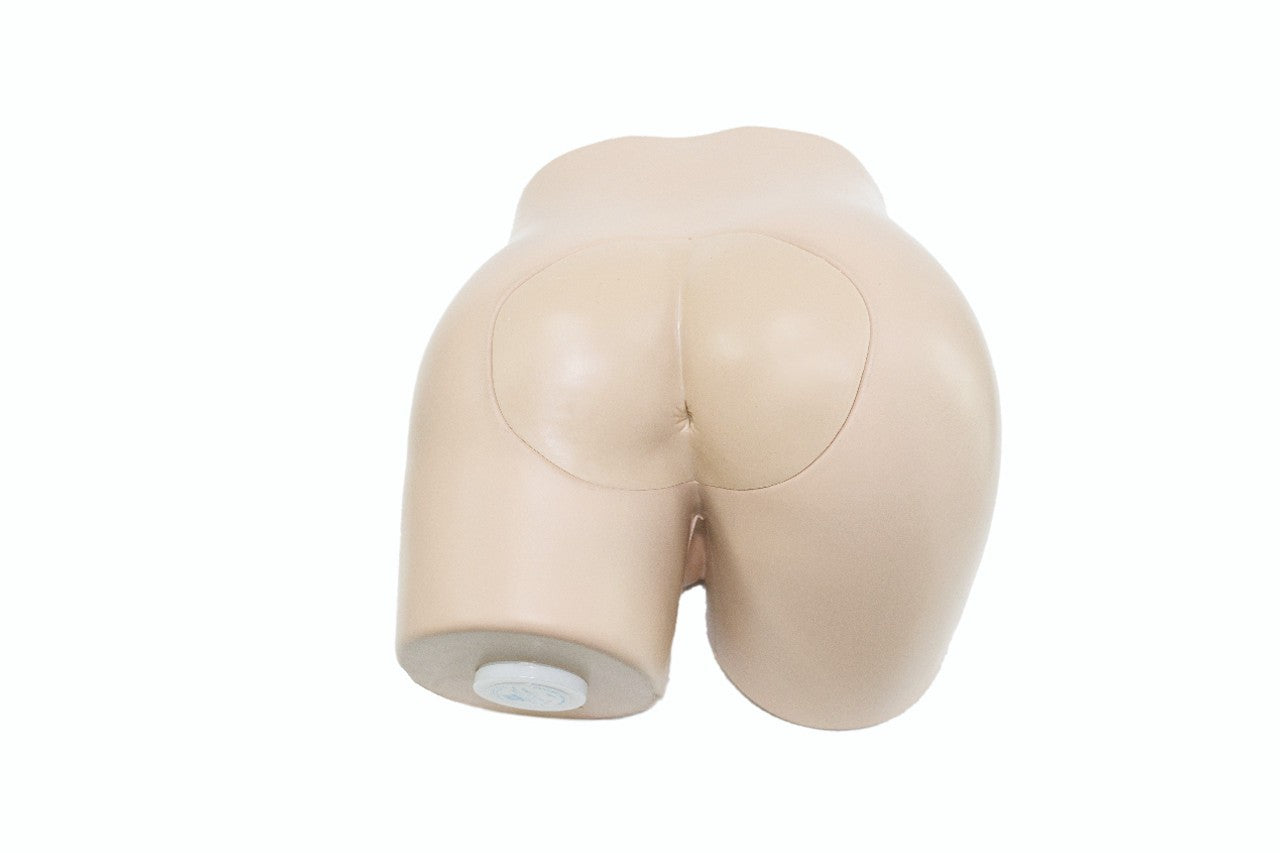 The Anatomy Lab-A-104466 Prostate Examination Simulator, 1/ea