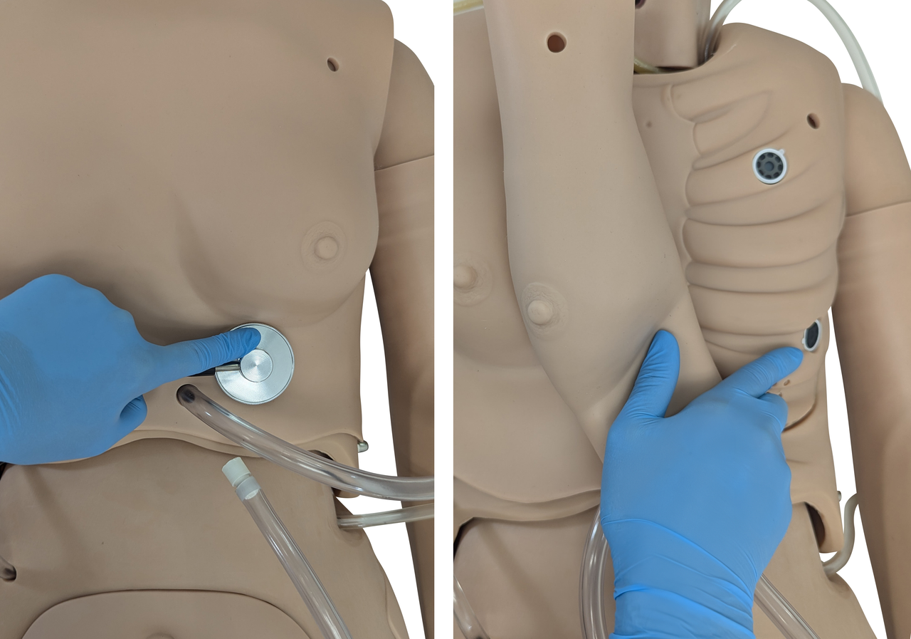 The Anatomy Lab-A-106720 All Purpose Care & Trauma Manikin, 1/ea