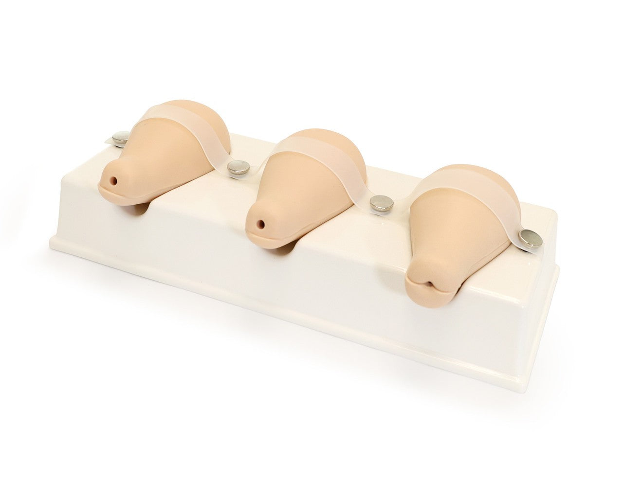 The Anatomy Lab-A-106808 Dilatation and Curettage Model, 1/ea