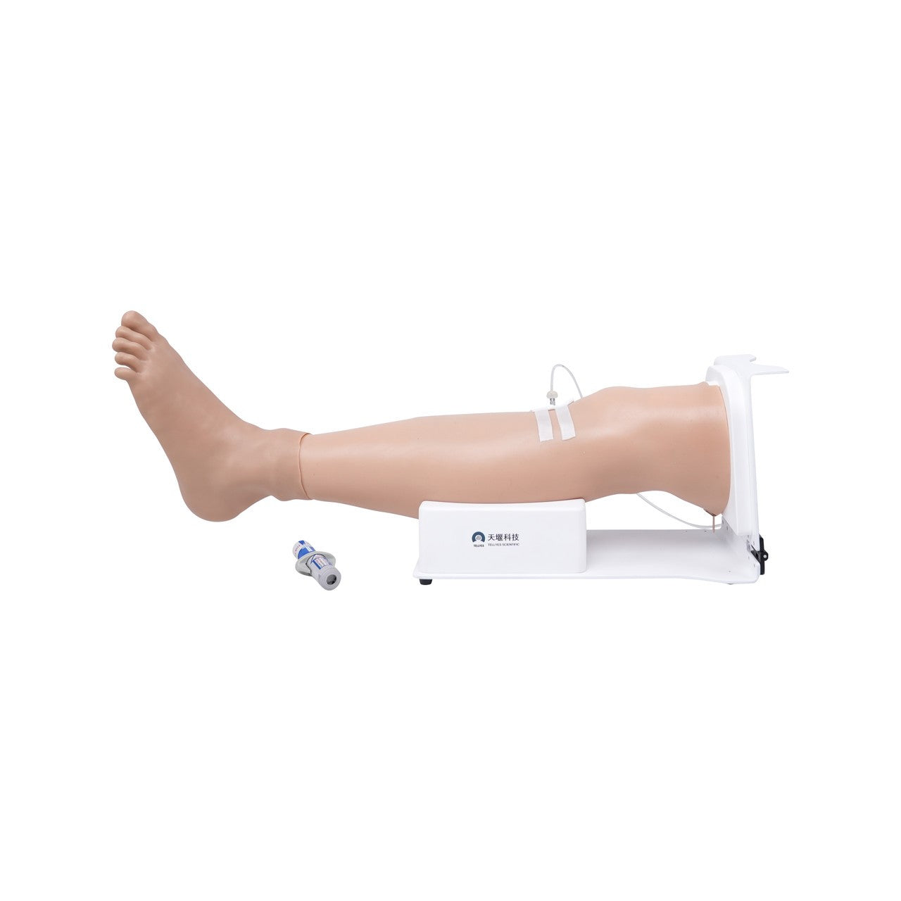 The Anatomy Lab-A-112540 Adult Tibial Puncture Leg with Stand, 1/EACH