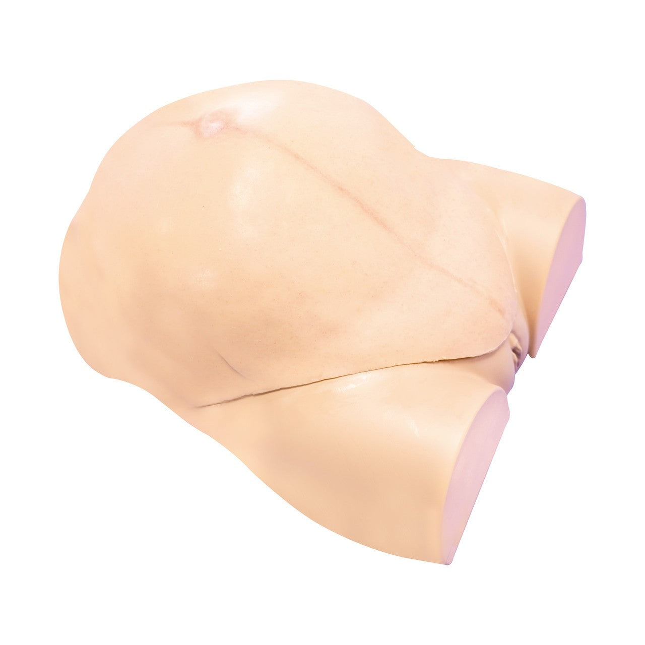 The Anatomy Lab-A-112549 Wearable C-Section Simulator, 1/ea