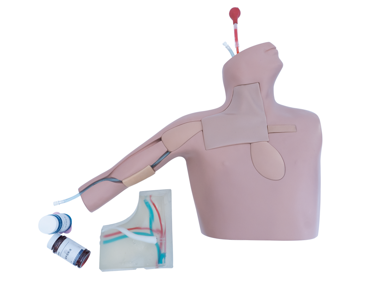 The Anatomy Lab-A-112563 Central Venous Catheterization Ultrasound Training Model, EACH