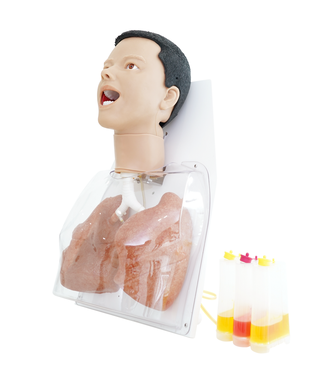 The Anatomy Lab-A-112565 COVID-19 Task Trainer, EACH