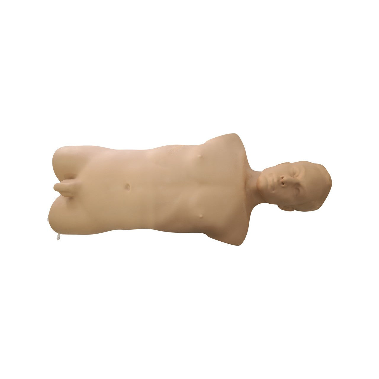 The Anatomy Lab-A-112569 FAST Ultrasound Training Phantom, EACH