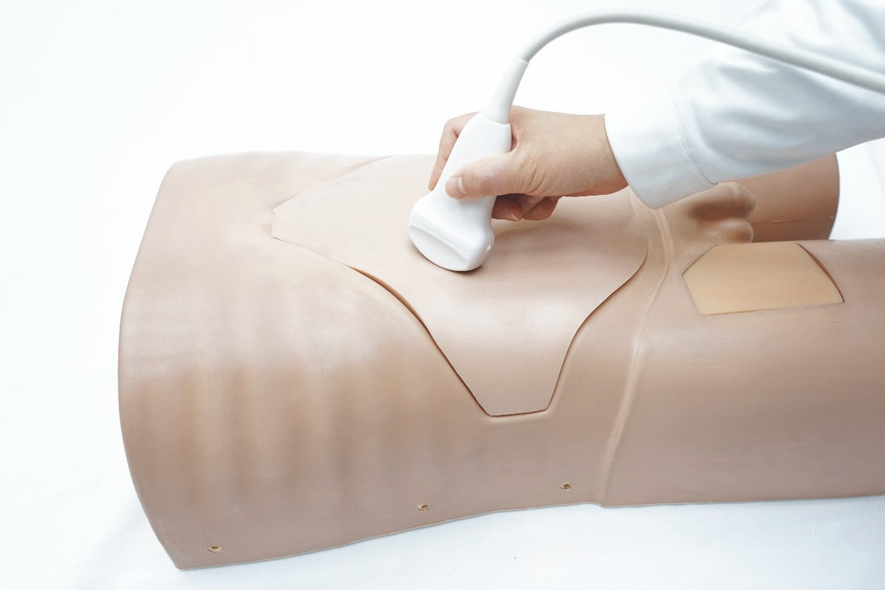 The Anatomy Lab-A-112574 Abdominal Ultrasound Phantom, EACH