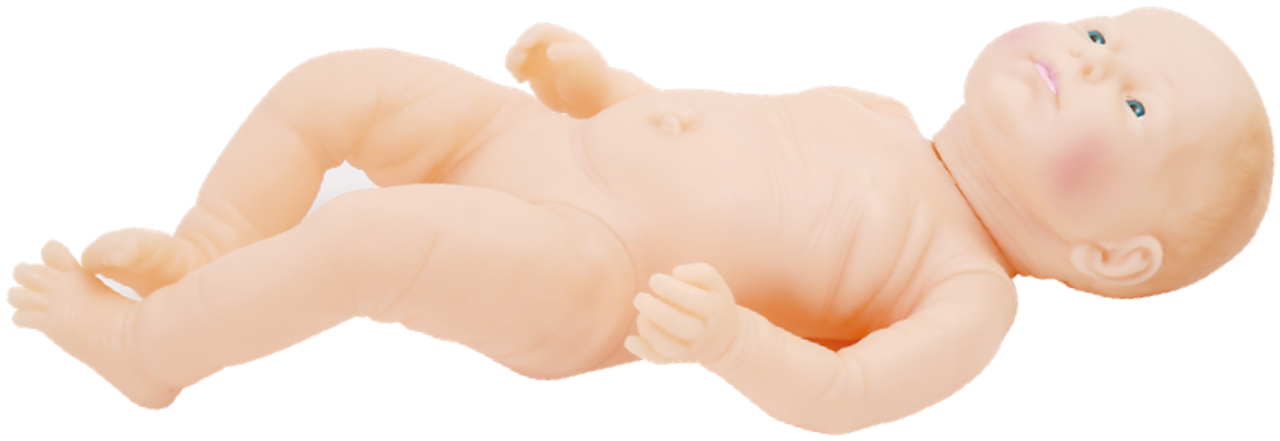 The Anatomy Lab-A-112600 Intelligent Baby for Touching Training, 1/ea