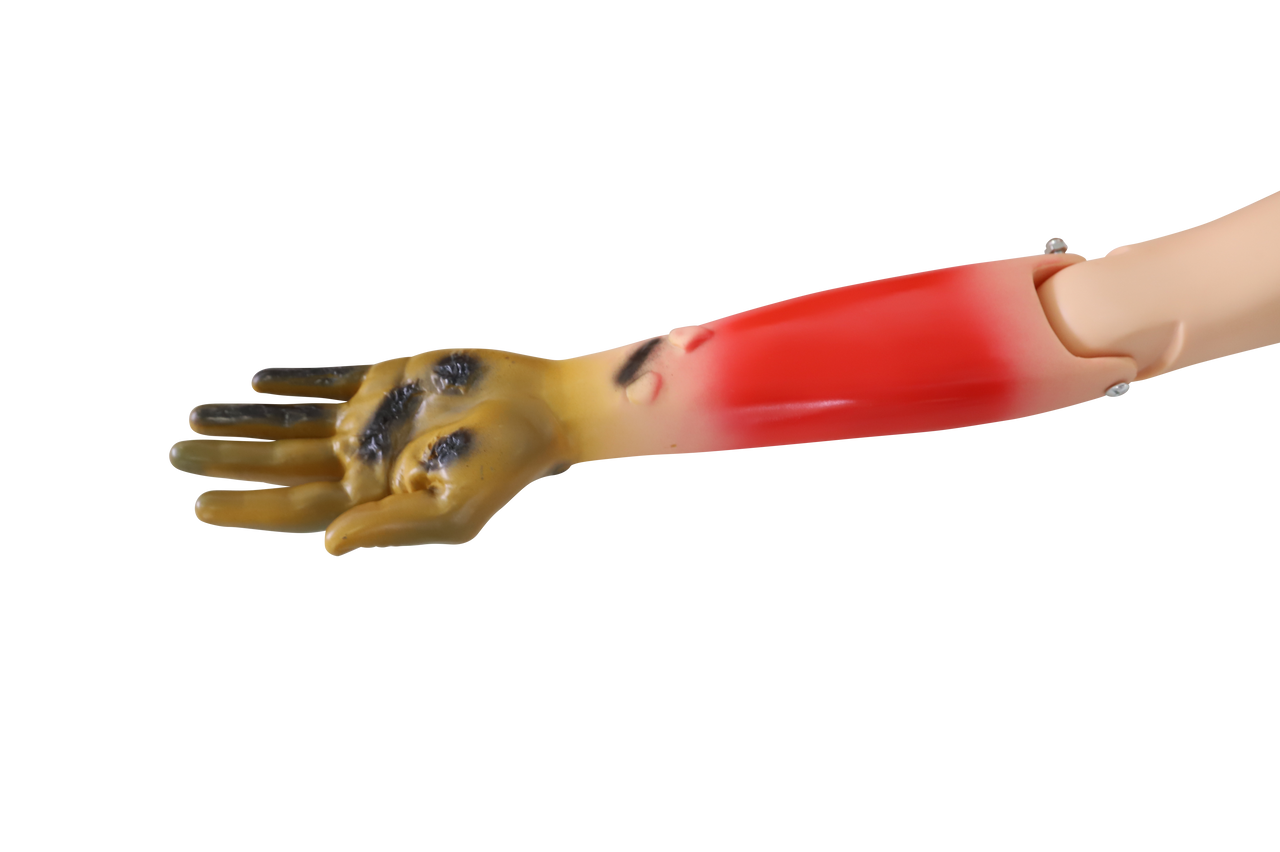 The Anatomy Lab-A-112993 Trauma Manikin, 1/ea