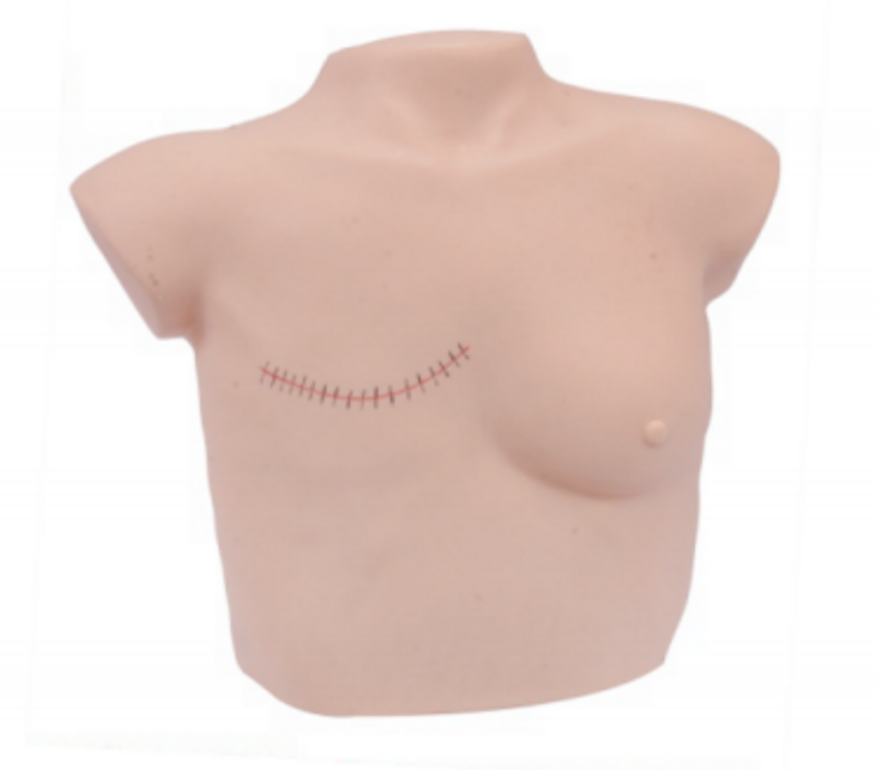 The Anatomy Lab-A-113026 Breast Examination and Postmastectomy Care Model, 1/ea