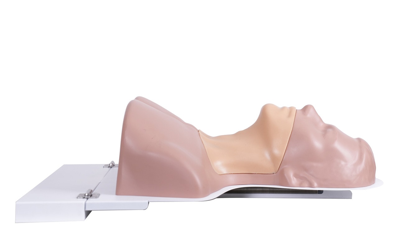 The Anatomy Lab-A-113033 Thyroid Ultrasound Training Model, 1/ea