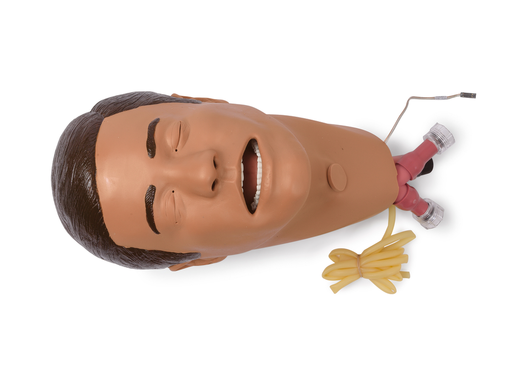 Laerdal Head; Am-Vsim Trach