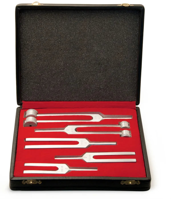 Diapasones Graham Field, paquete de 5