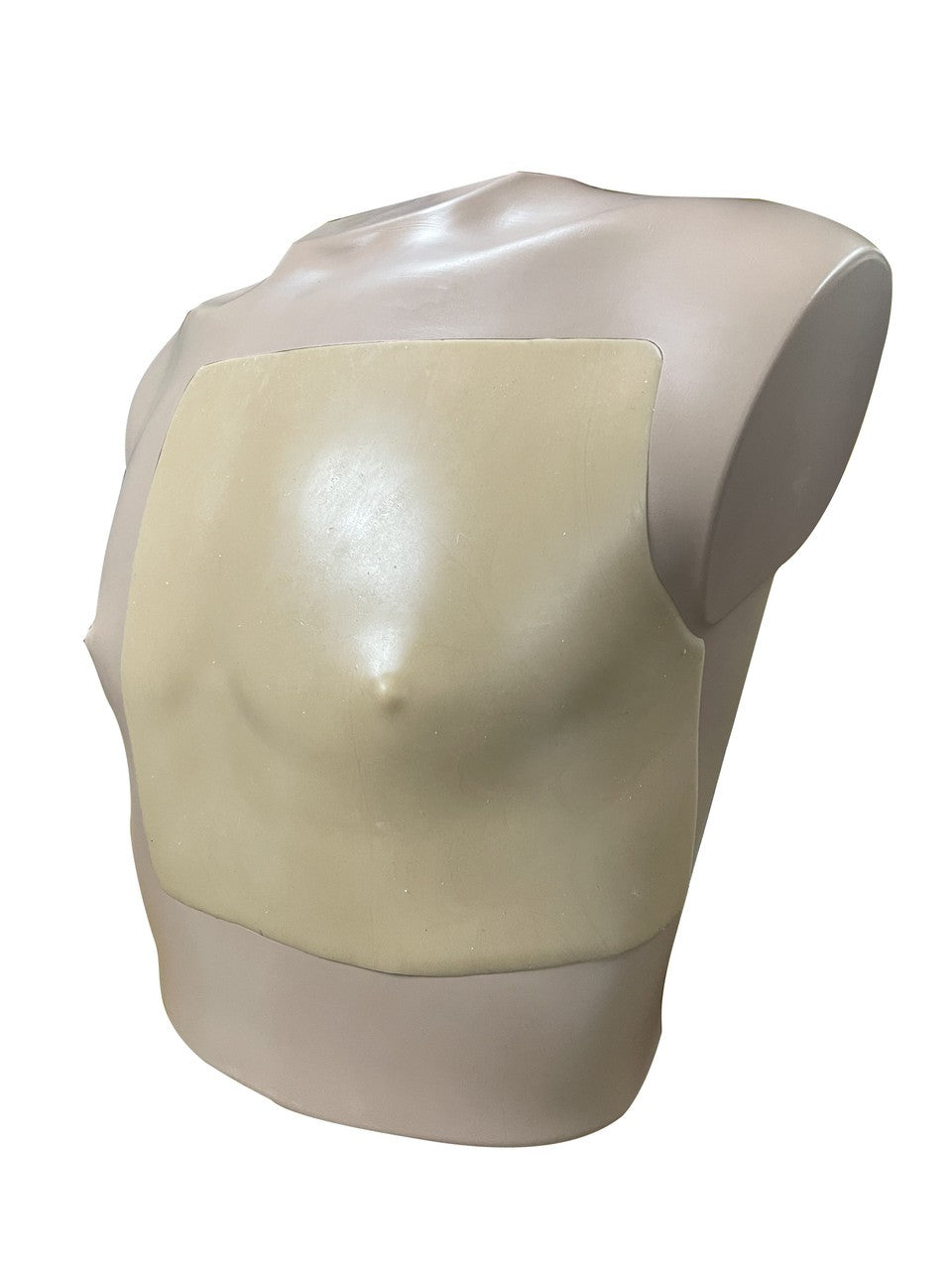 The Anatomy Lab-A-113034 Ultrasound Pericardial Puncture Model, 1/ea
