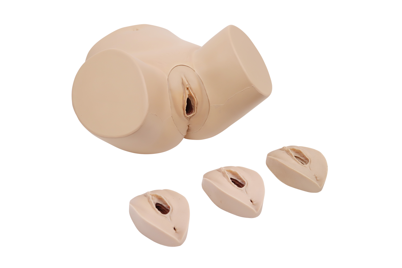 The Anatomy Lab-A-113030 Episiotomy & Suturing Surgical Model, 1/ea