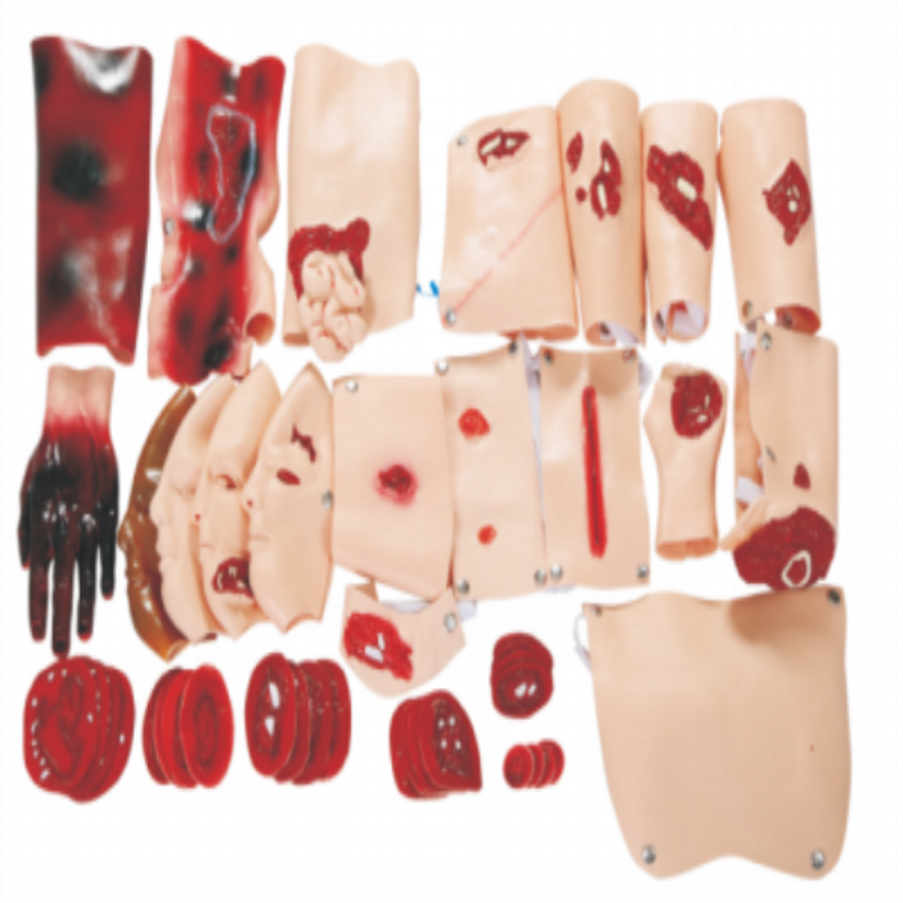 The Anatomy Lab Wound Assessment Module
