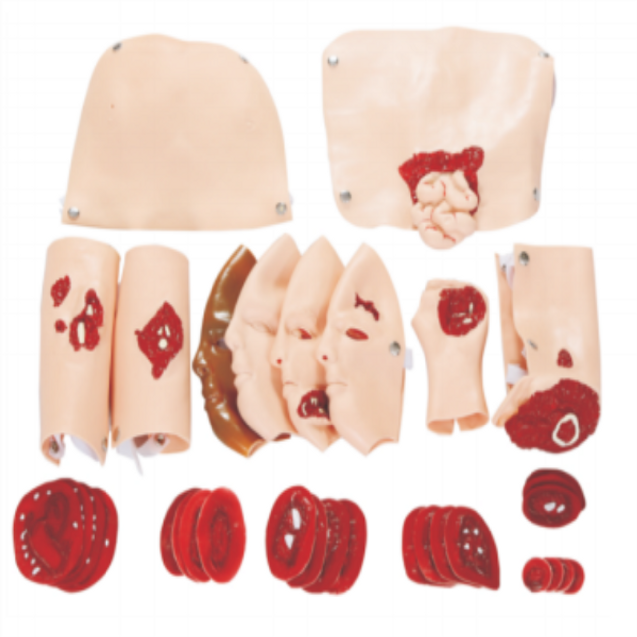 The Anatomy Lab Wound Assessment Module