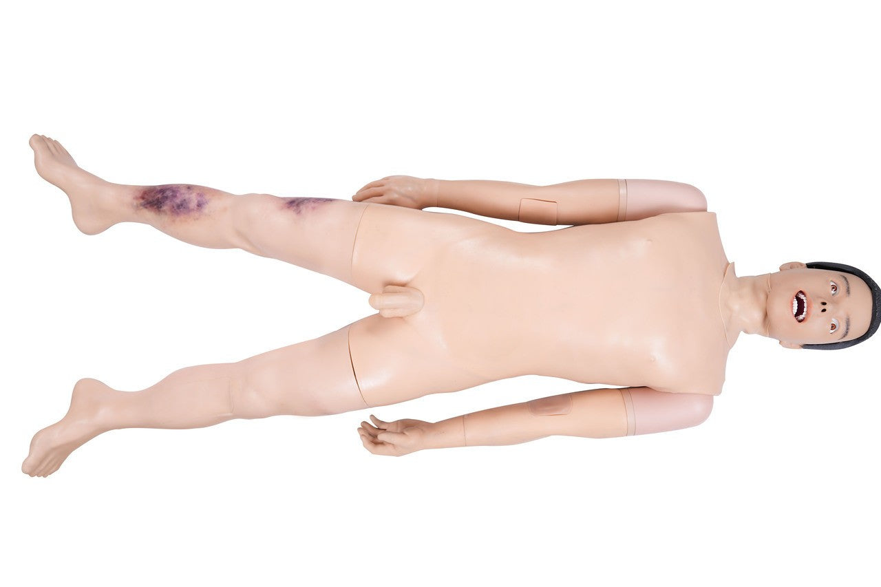 The Anatomy Lab-A-113015 Complete Clinical Skills Training Manikin, 1/EA
