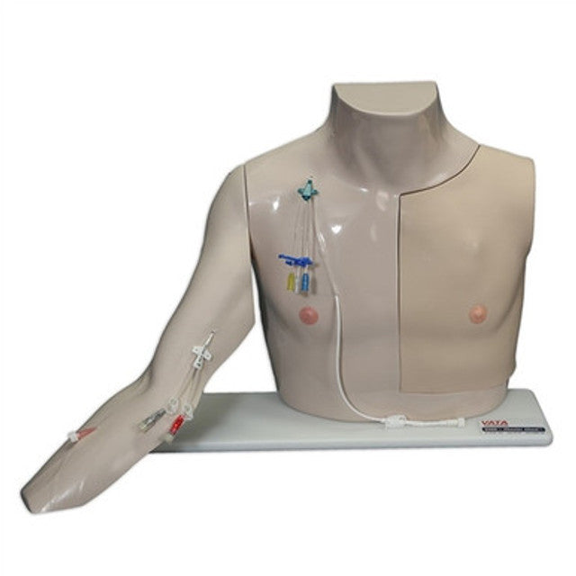 LAERDAL-VT-2400-STD Chester Chest Std Arm - Piel clara