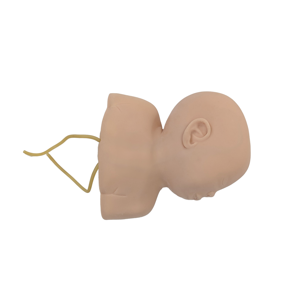 The Anatomy Lab-A-106754 Venipuncture Training Baby Head with Rotatable Valves, 1/ea