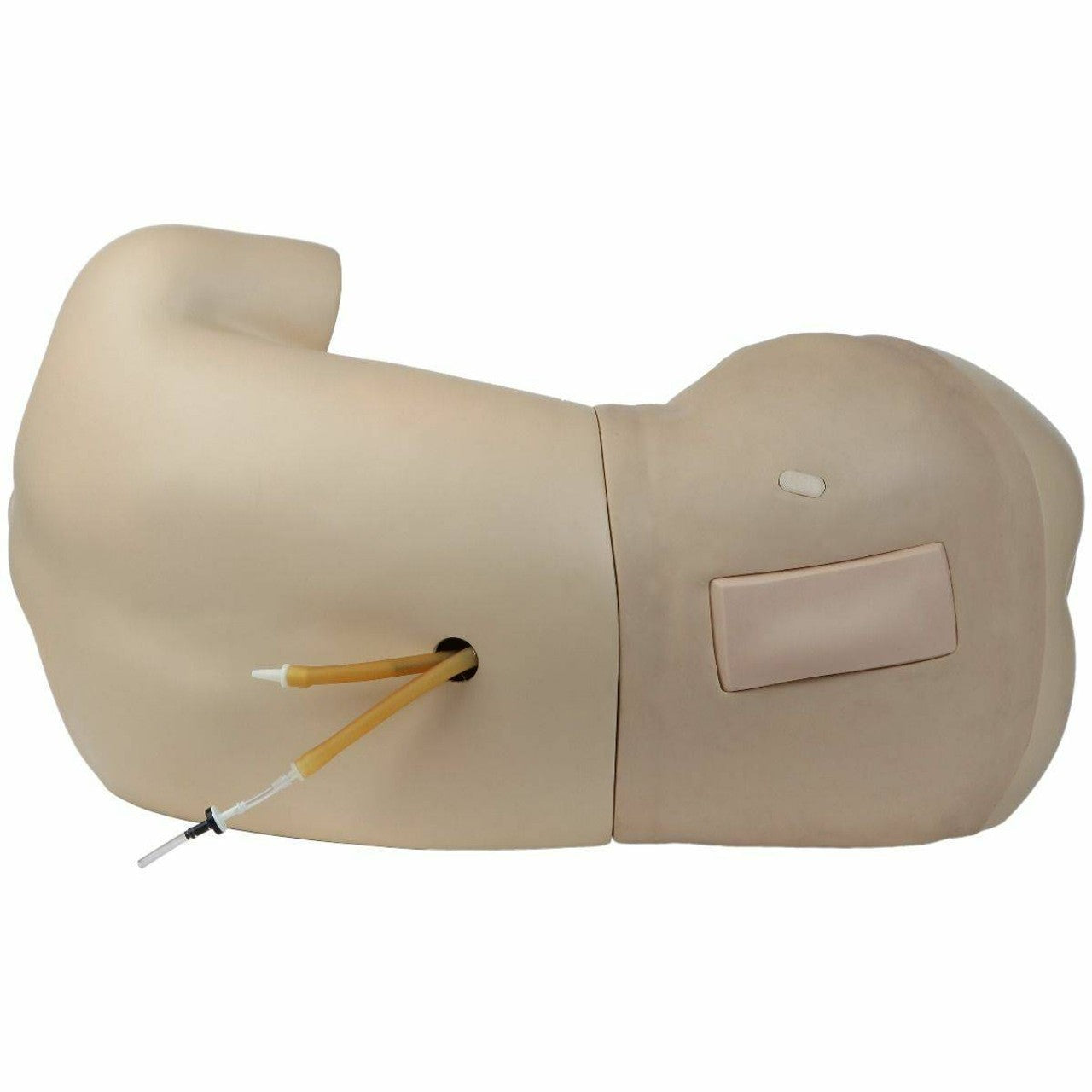 The Anatomy Lab-A-104430 Adult Lumbar Puncture Simulator