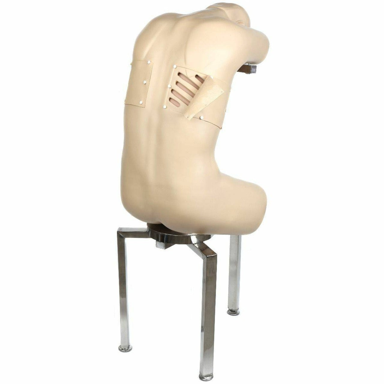 The Anatomy Lab-A-104431 Adult Thoracentesis Simulator, 1/ea