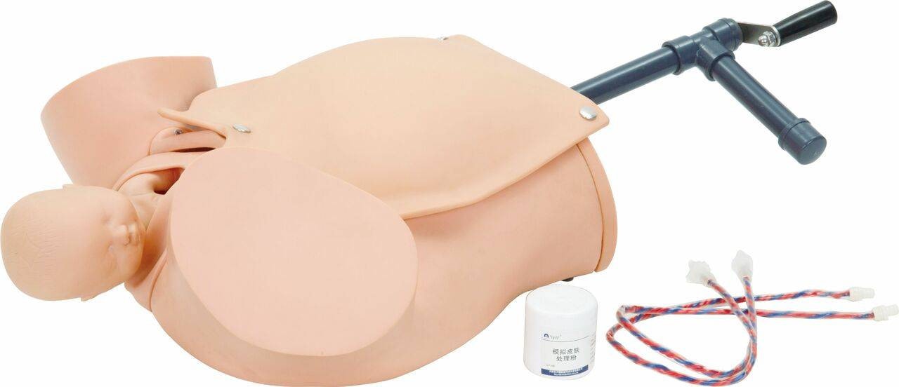 The Anatomy Lab-A-106813 Advanced Childbirth Skill Training Model, 1/ea