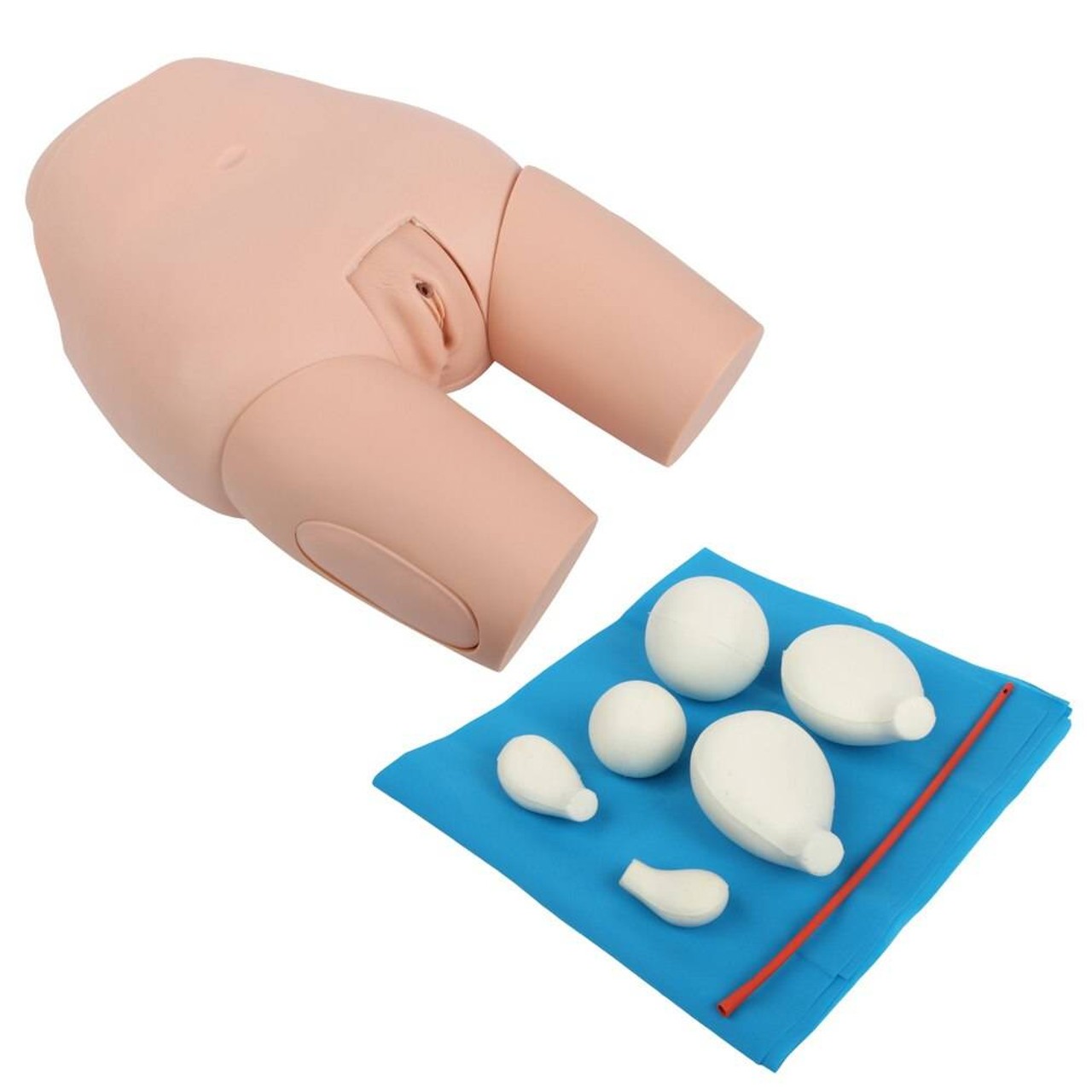 The Anatomy Lab-A-106803 Advanced Fundus Assessment Skills Trainer, 1/ea