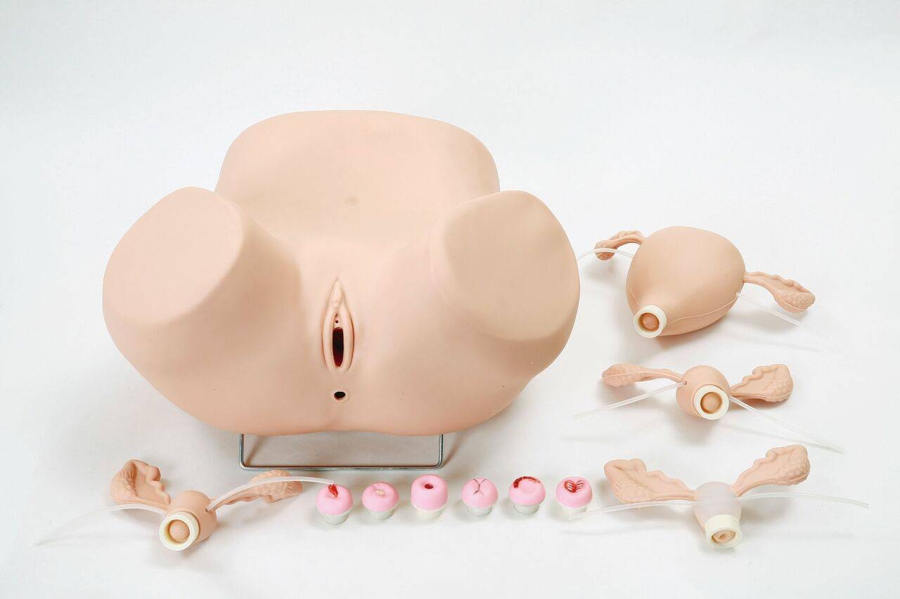 The Anatomy Lab-A-104432 Advanced Gynecologic Simulator, 1/ea