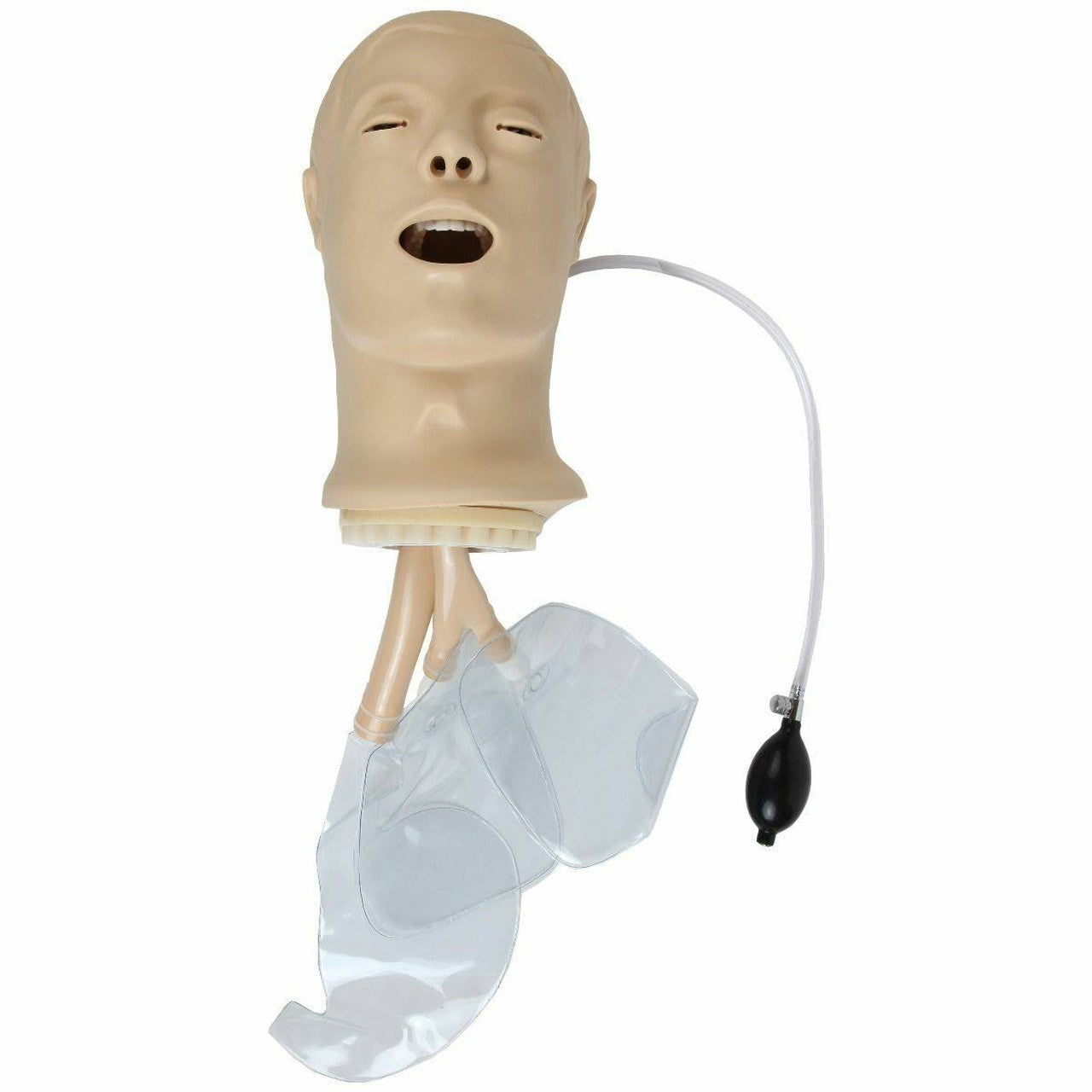 The Anatomy Lab-A-104411 Airway Management Trainer, 1/ea