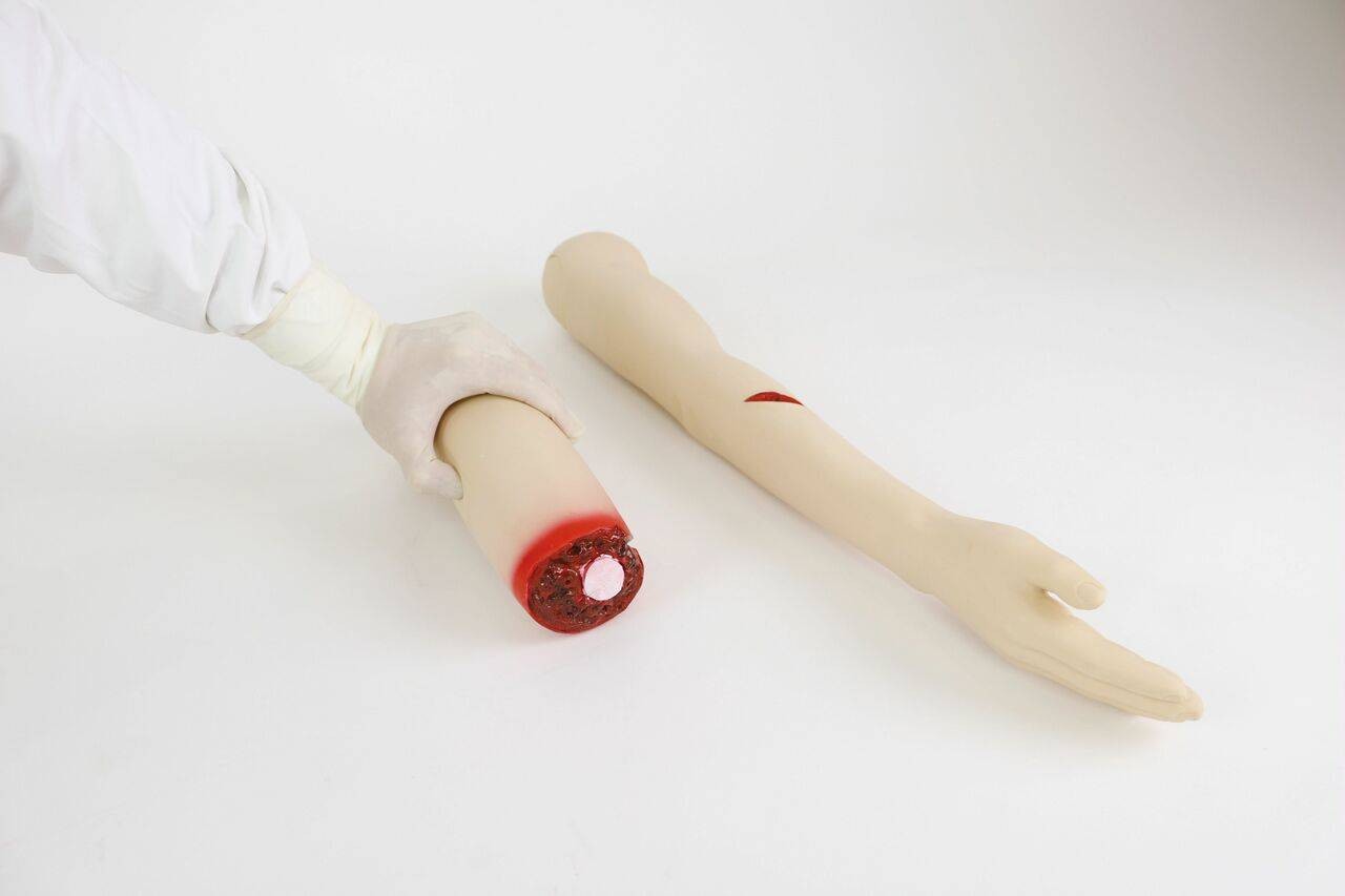 The Anatomy Lab-A-106712 Amputated and Trauma Bleeding Arm, 1/ea