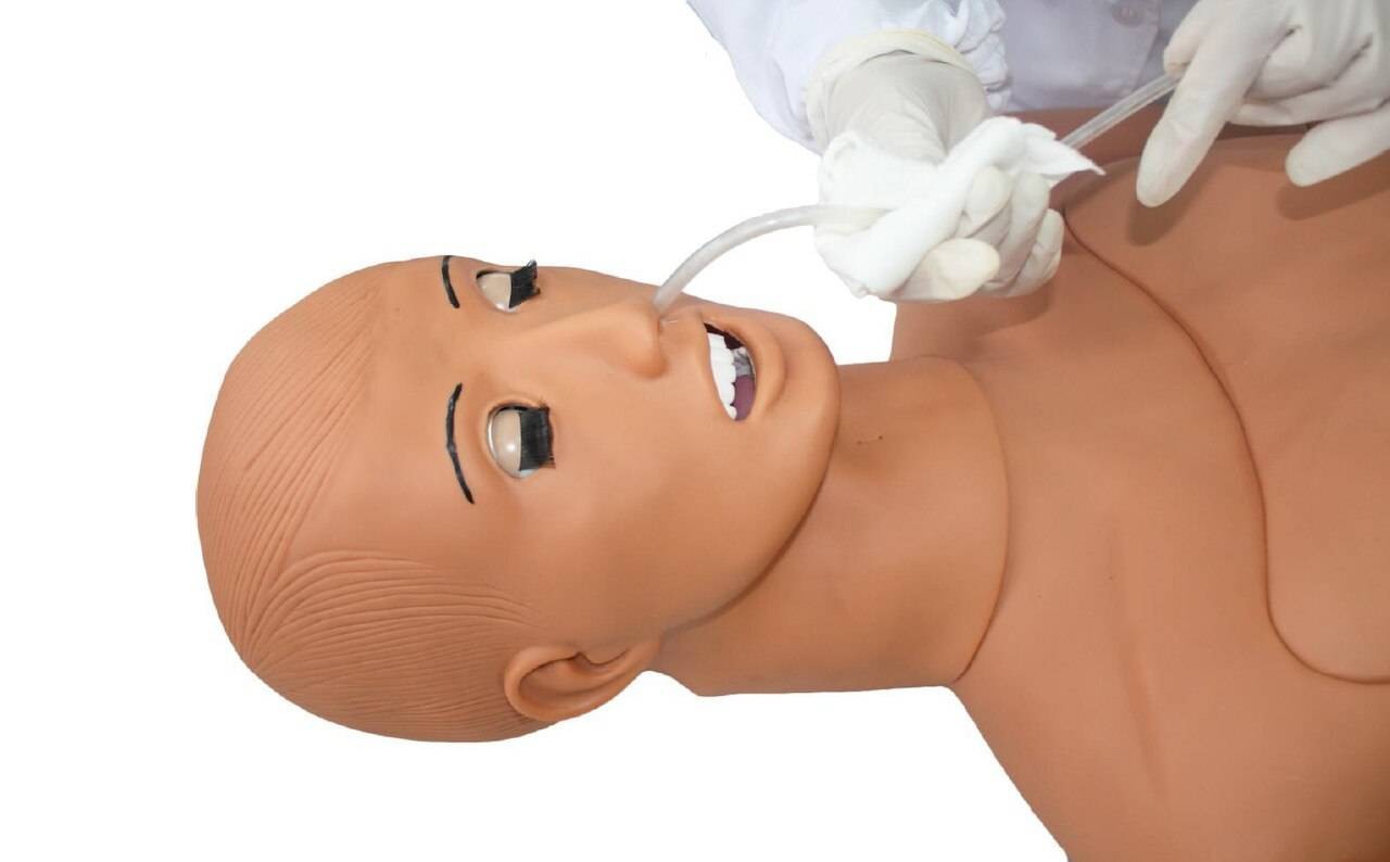Anatomy Lab Basic Nursing Manikin