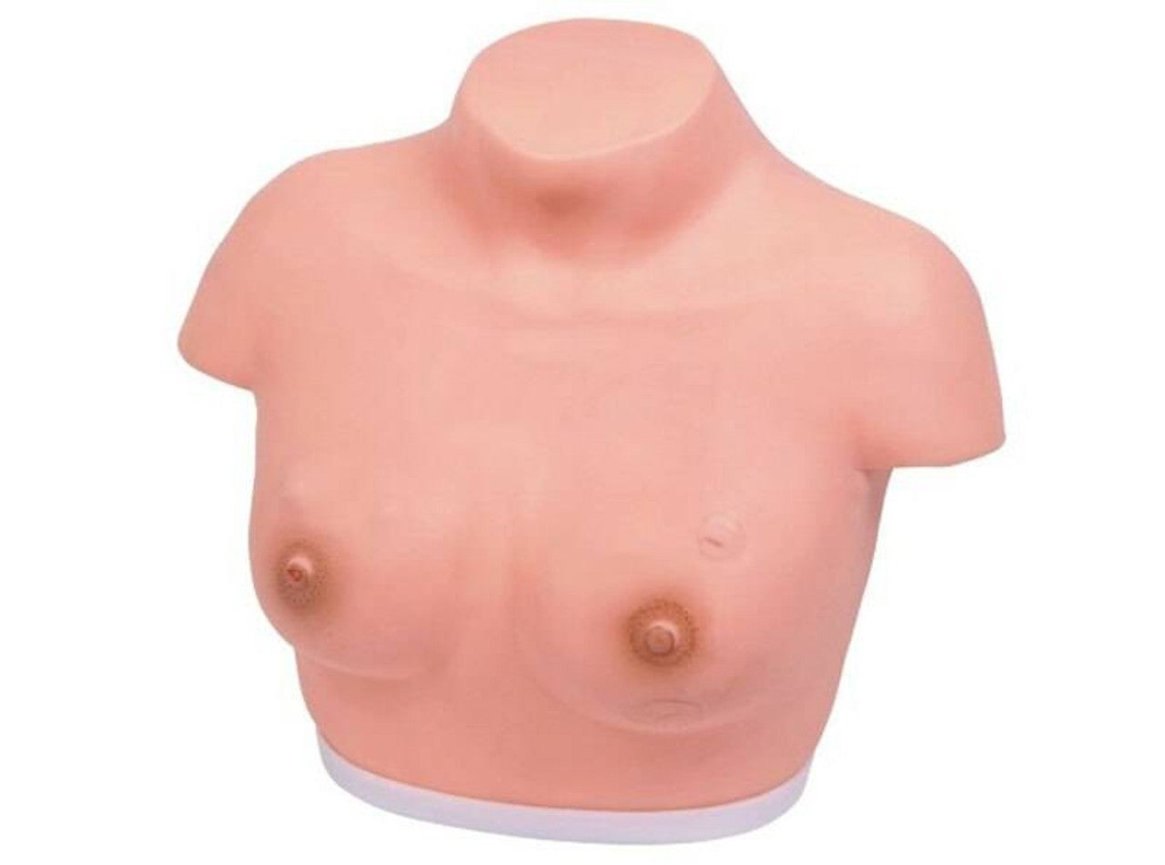 The Anatomy Lab-A-106802 Breast Inspection and Palpation Model, 1/ea