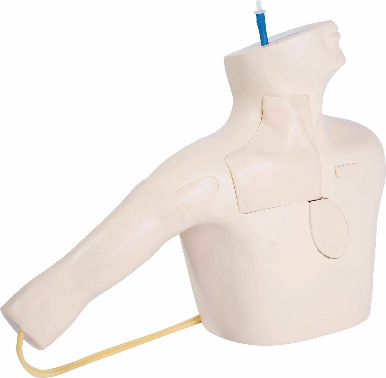 The Anatomy Lab-A-105849 Central Venous Catheterization Simulator, 1/ea