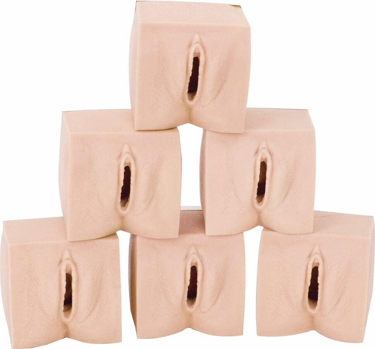 The Anatomy Lab-A-105847 Cervical Dilatation/Effacement Model, 1/ea