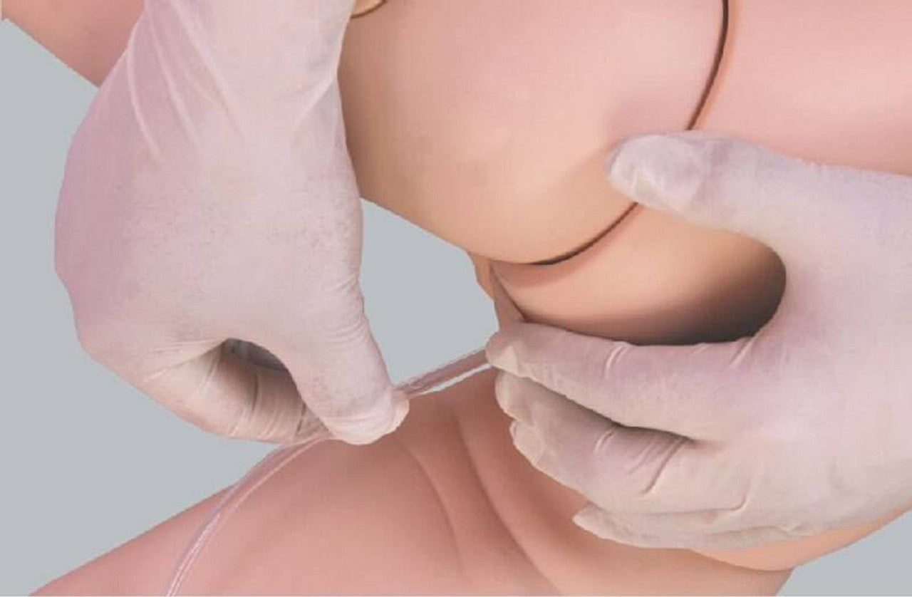 The Anatomy Lab-A-108511 Child Enema Training Simulator, 1/ea