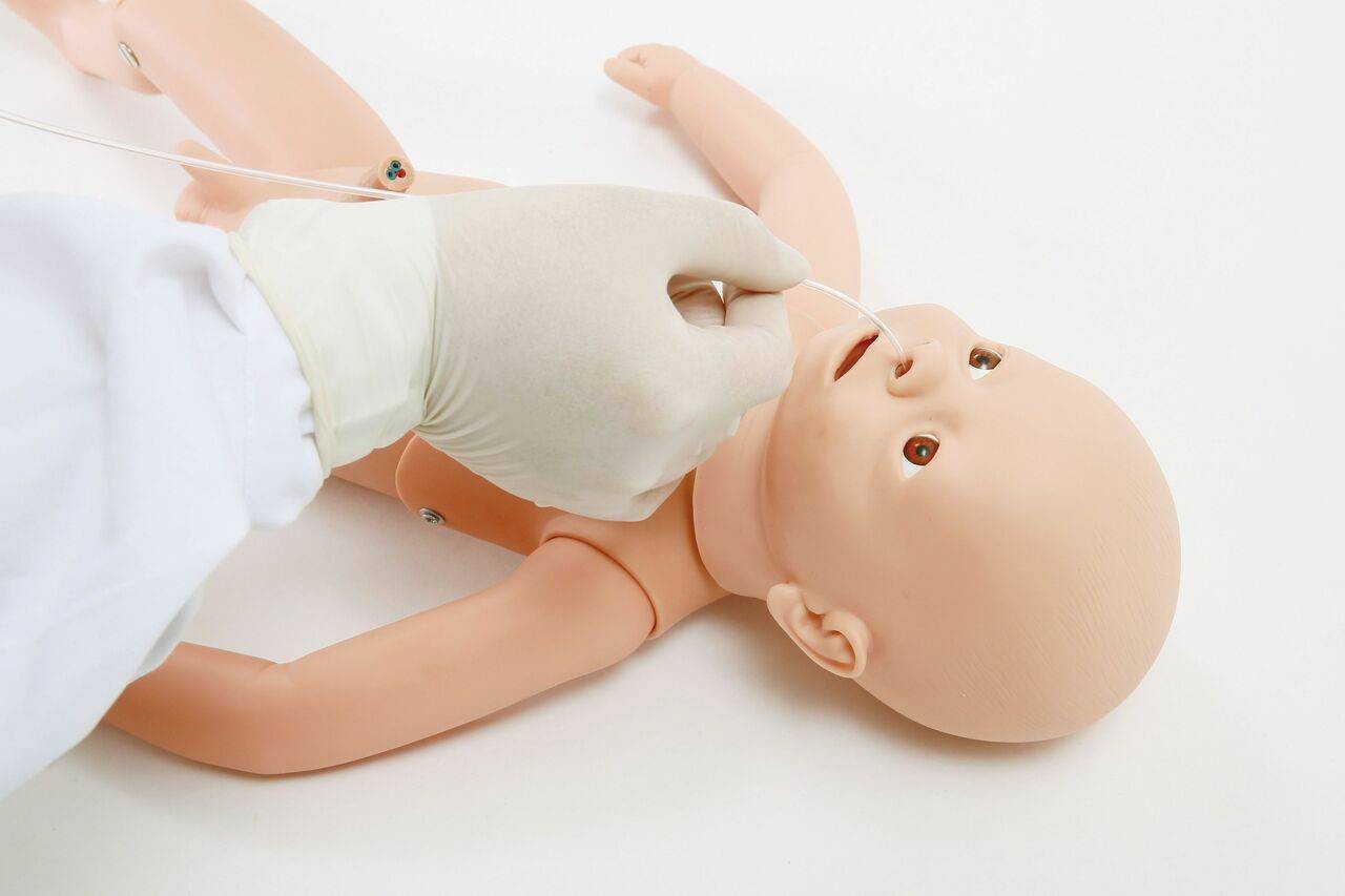 The Anatomy Lab-A-106750 Combined Neonate Care Manikin, 1/ea