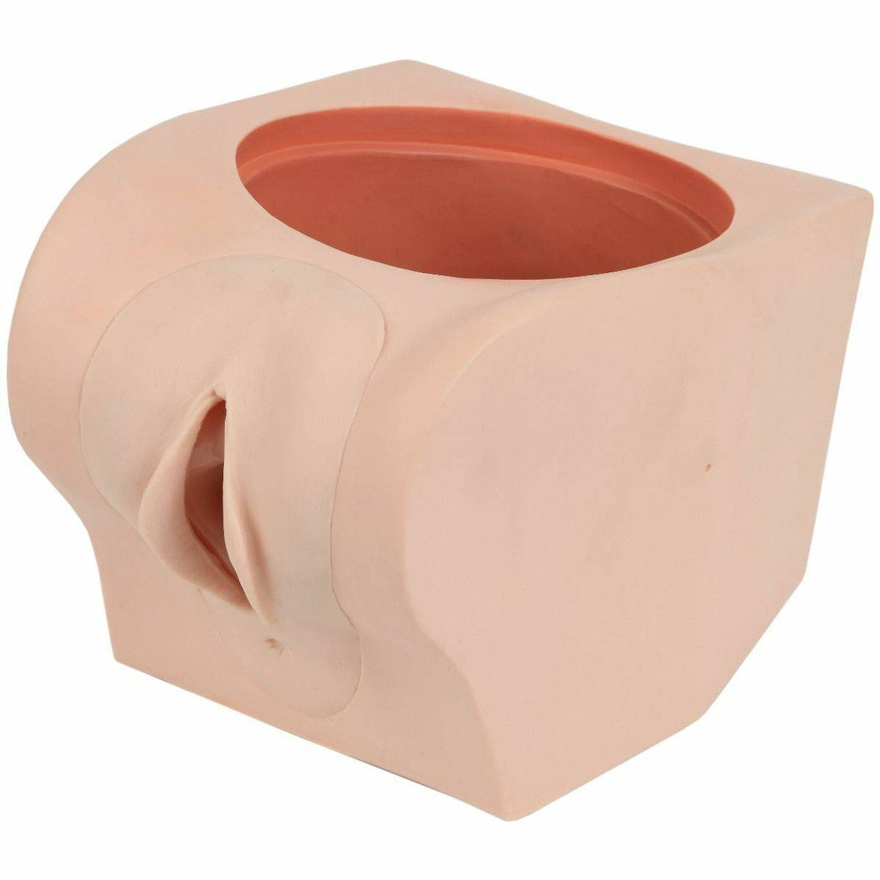 The Anatomy Lab-A-106731 Female Contraception Trainer, 1/ea