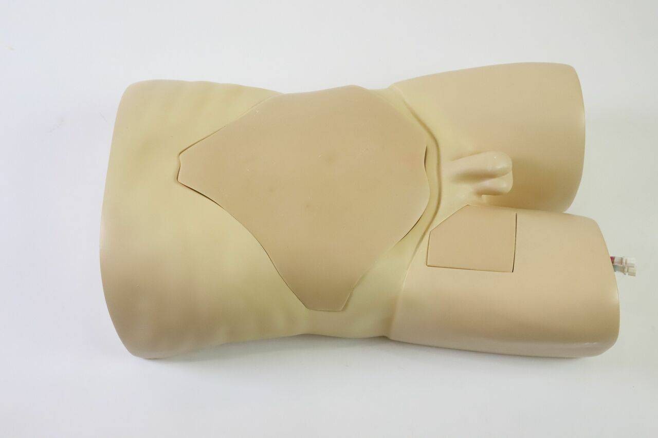 The Anatomy Lab-A-108515 Femoral Arteriovenous Puncture and Abdominocentesis Ultrasound Training Model, 1/ea