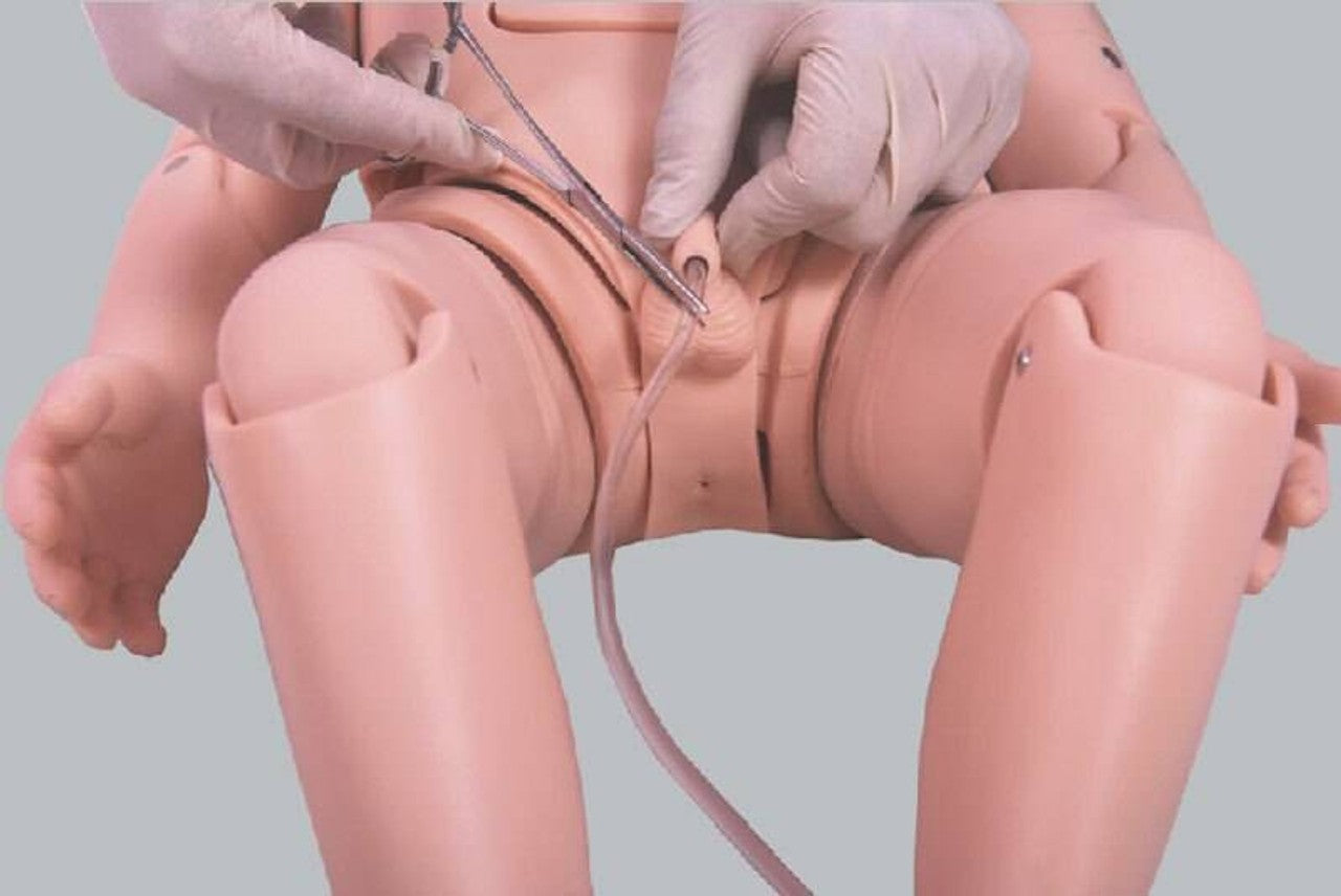 The Anatomy Lab-A-108510 Infant Pediatric Urethral Catheterization Simulation Trainer, 1/ea