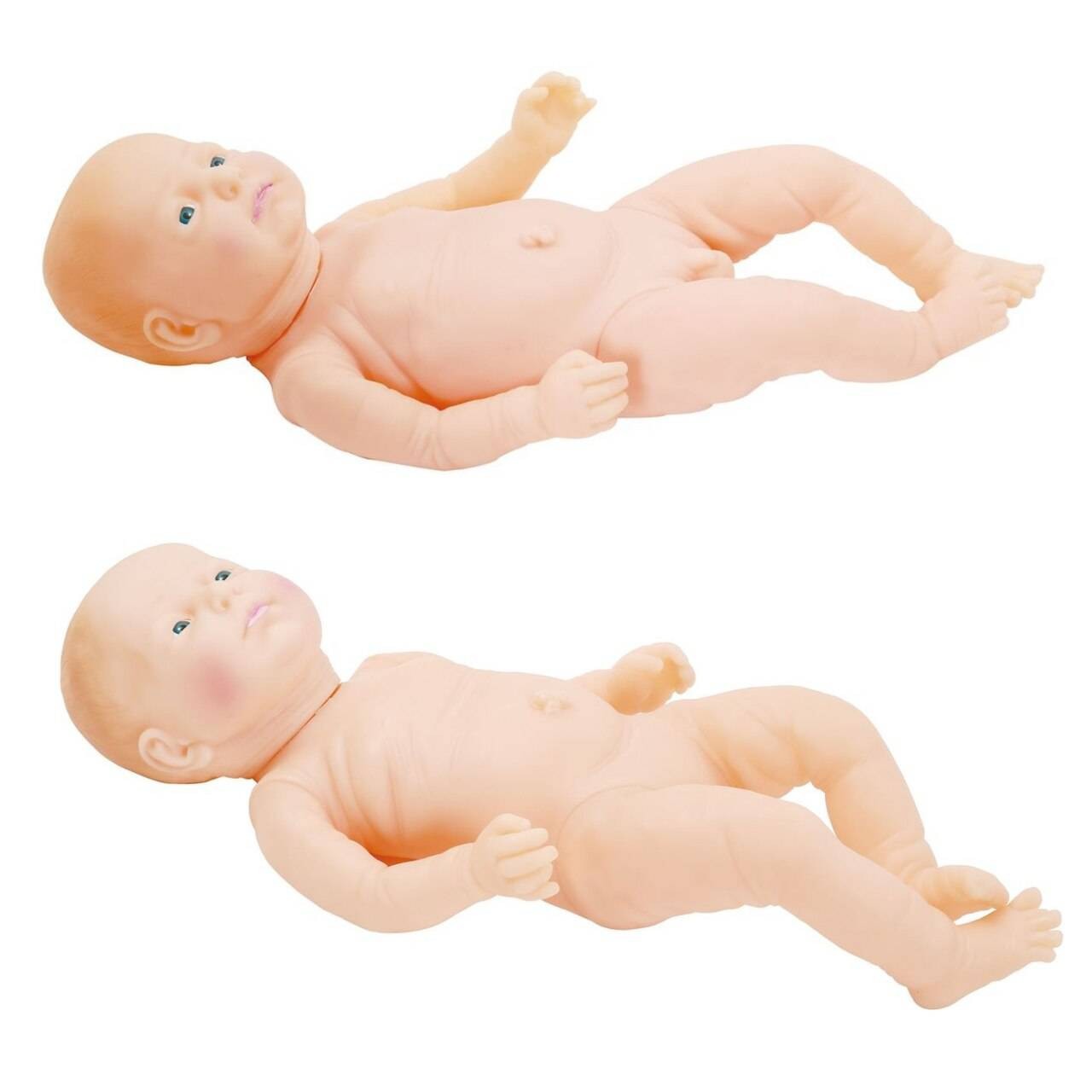 The Anatomy Lab-A-109148 Neonate Care Female and Male Manikin Set, 1/Set (Includes 2 manikins)