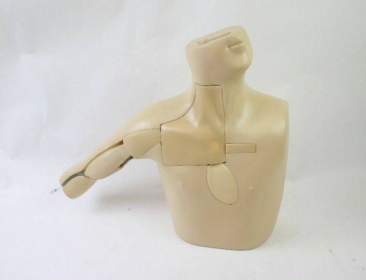 The Anatomy Lab-A-108520 PICC Ultrasound Training Model, 1/ea