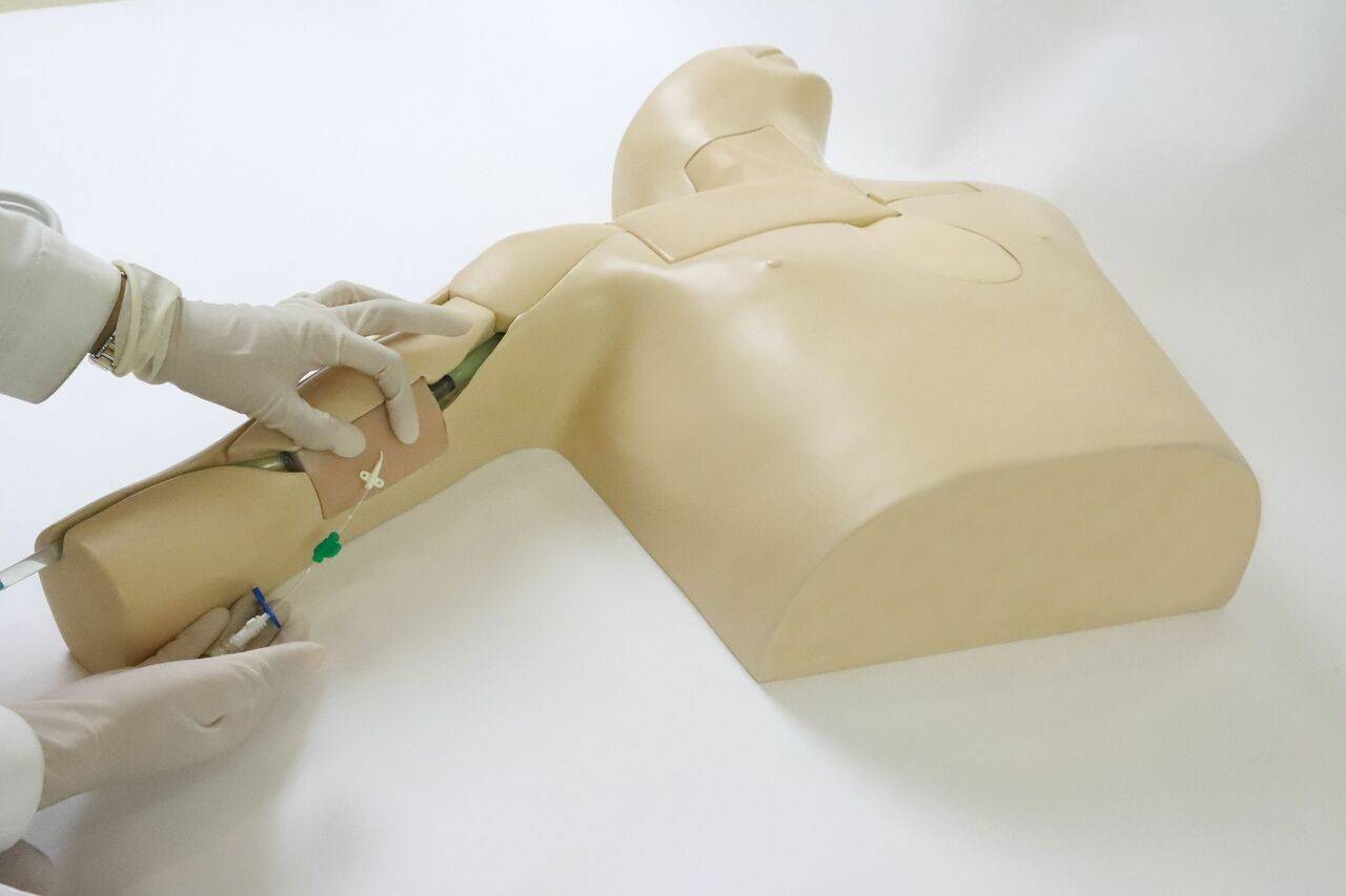 The Anatomy Lab-A-108520 PICC Ultrasound Training Model, 1/ea