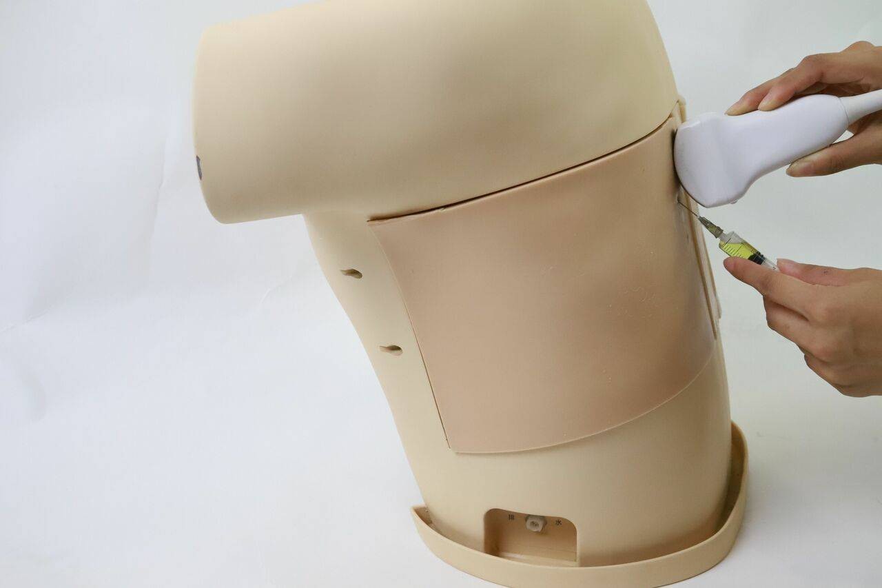 The Anatomy Lab-A-108518 Thoracentesis Ultrasound Training Model, 1/ea